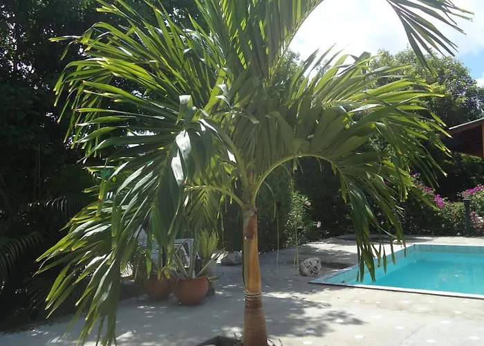 Happy Turtle Apartments