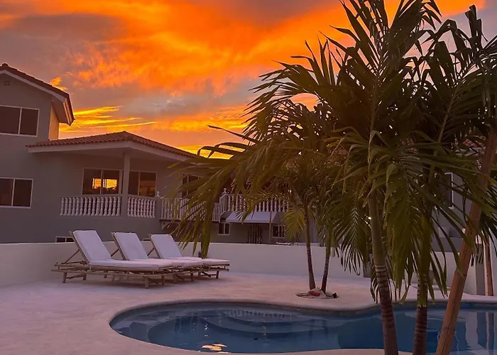 Palm View