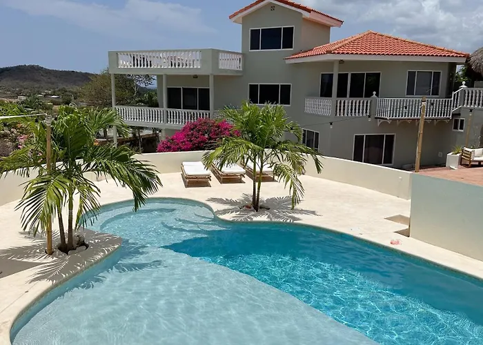 Palm View